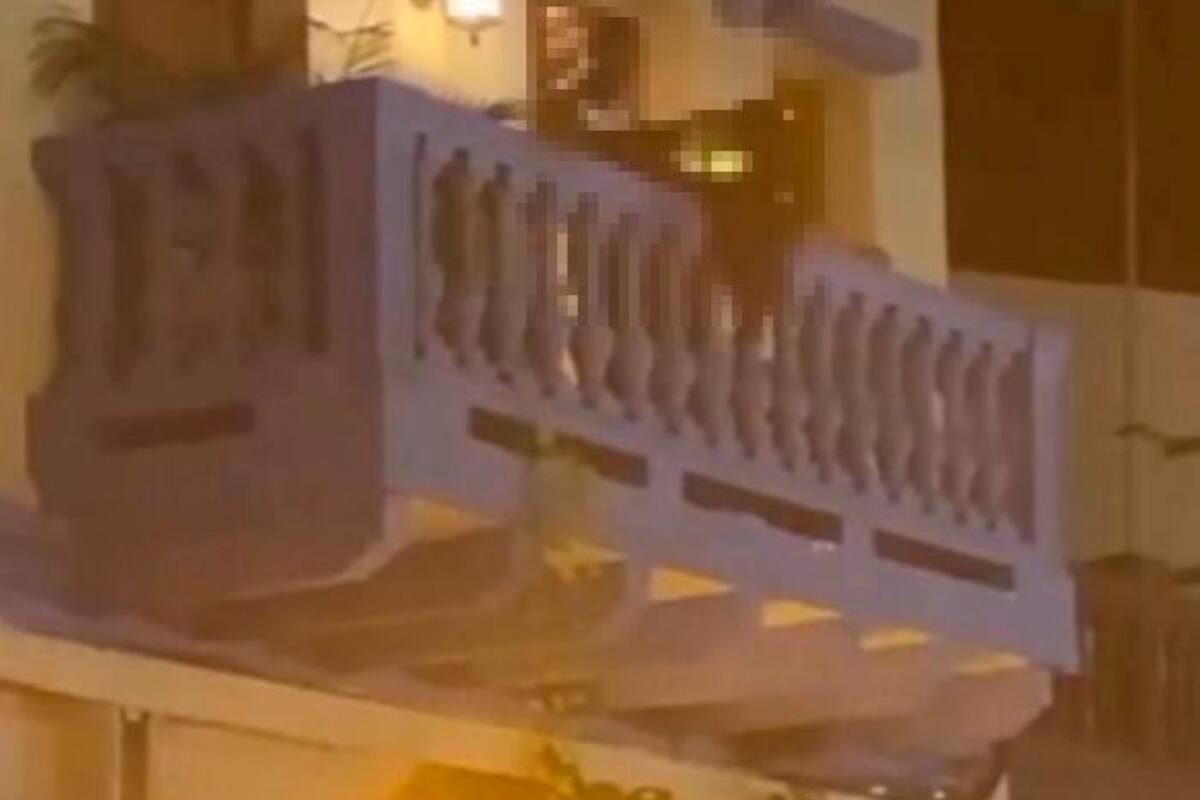 Video: ¡Otra vez! Pareja es captada teniendo sexo en un balcón de Cartagena