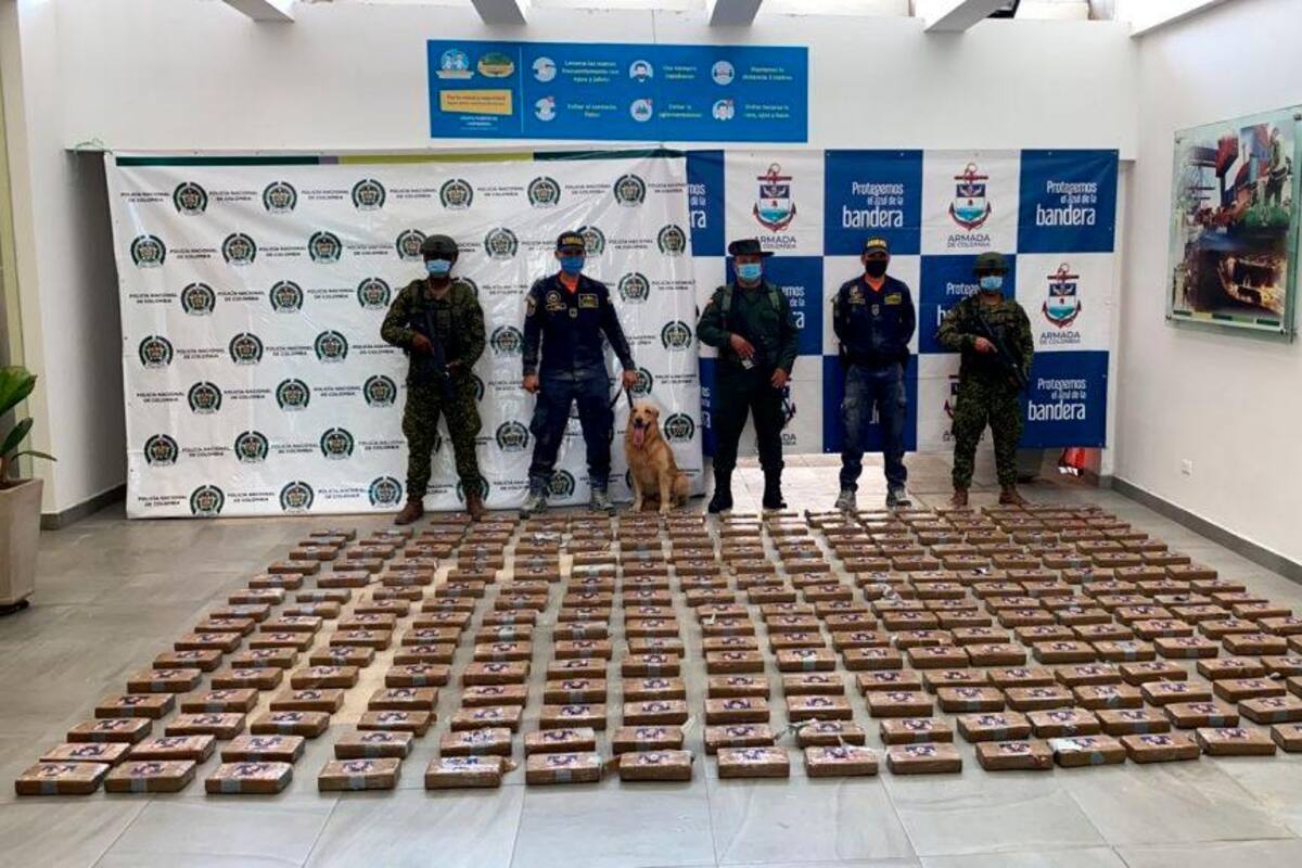 En pegante de cerámica hallan 269 kilos de cocaína en puerto de El Bosque