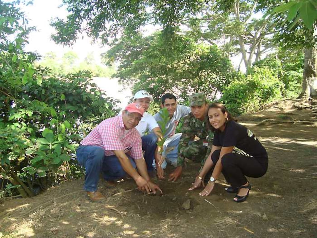 En la campaña se reforestaron tres hectáreas a la orilla del Sinú.