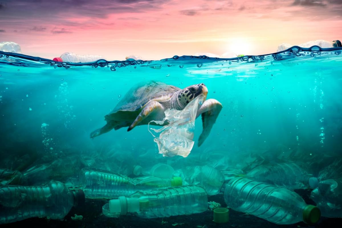 5 datos que revelan la urgencia de la economía circular