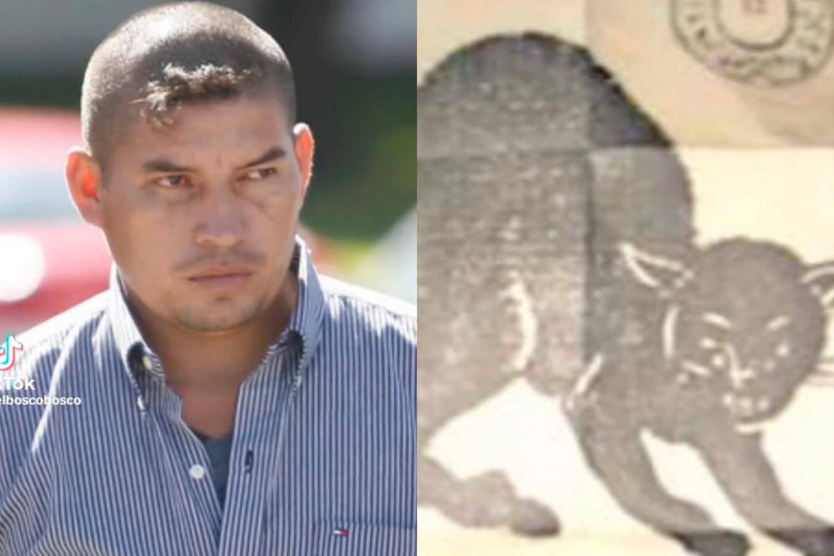 La espeluznante historia de ‘Pijarvey’, el capo protegido por un gato negro