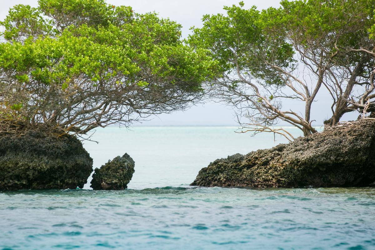 Los atractivos de Bolívar en el Manual para Guías de Turismo de Naturaleza