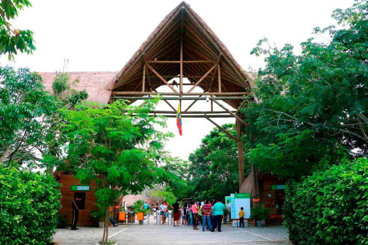 ¡Pilas! Mujeres podrán entrar gratis este domingo al Aviario Nacional en Barú