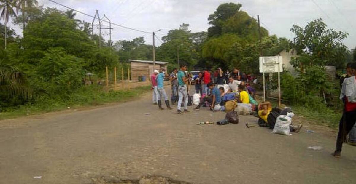 El diálogo entre el Gobierno y los campesinos del Catatumbo, se reanudará este martes. COLPRENSA