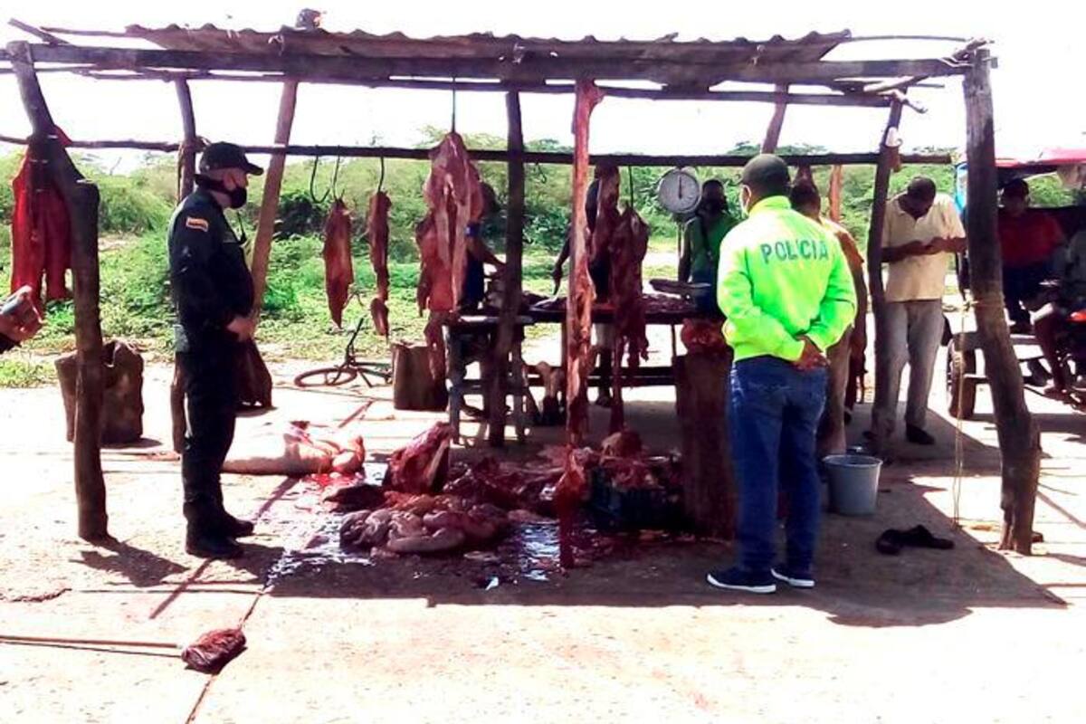 Policía descubre matadero clandestino al sur del Atlántico