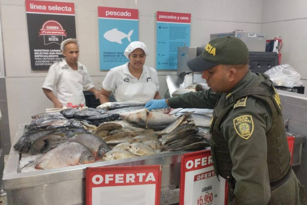 Policía ha incautado 213 kilos de pescado no aptos para el consumo