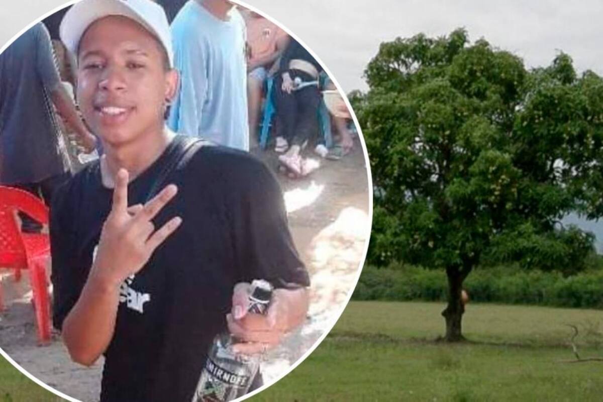 Tragedia en Villa Estrella: joven de 22 años murió al caer de palo de mango