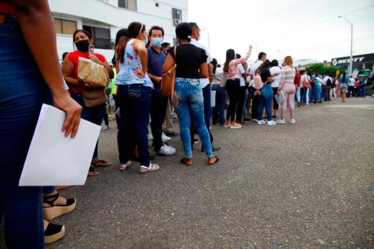 ¿Sin empleo? Estas cinco empresas buscan bachilleres y profesionales