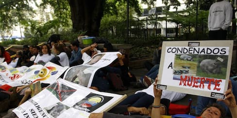 Colombia: el país más peligroso para líderes ambientales, según ONG