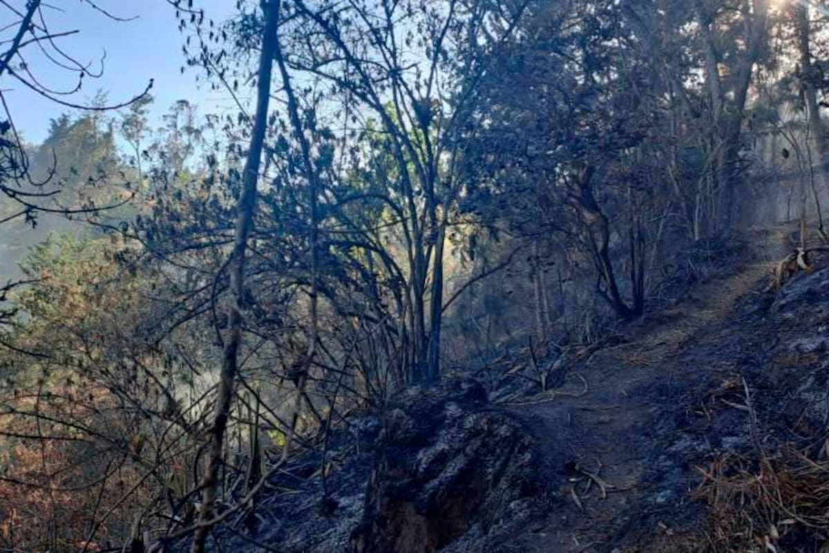 Un adulto mayor murió calcinado en su vivienda por grave incendio en Boyacá