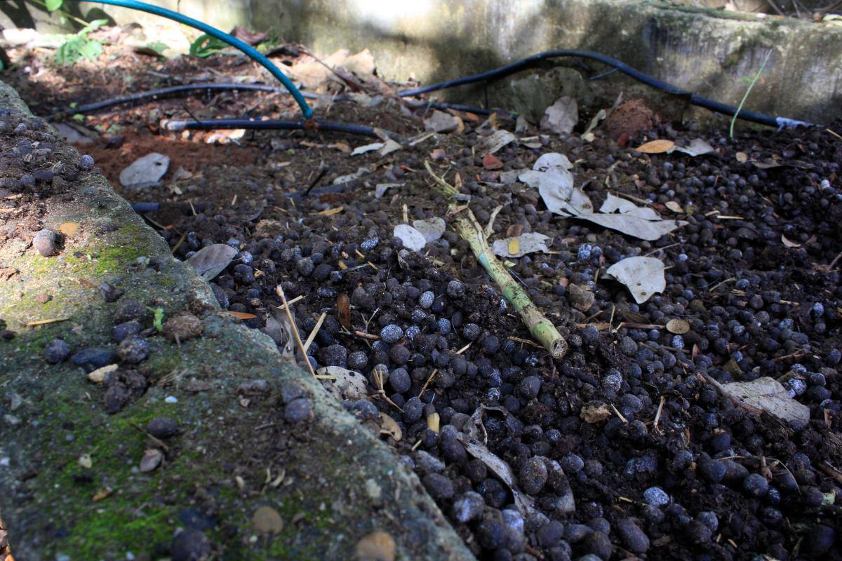 El estiércol de las cabras se utiliza para abono. En la granja nada se pierde. // FOTOS JULIO CASTAÑO BELTRÁN - EL UNIVERSAL
