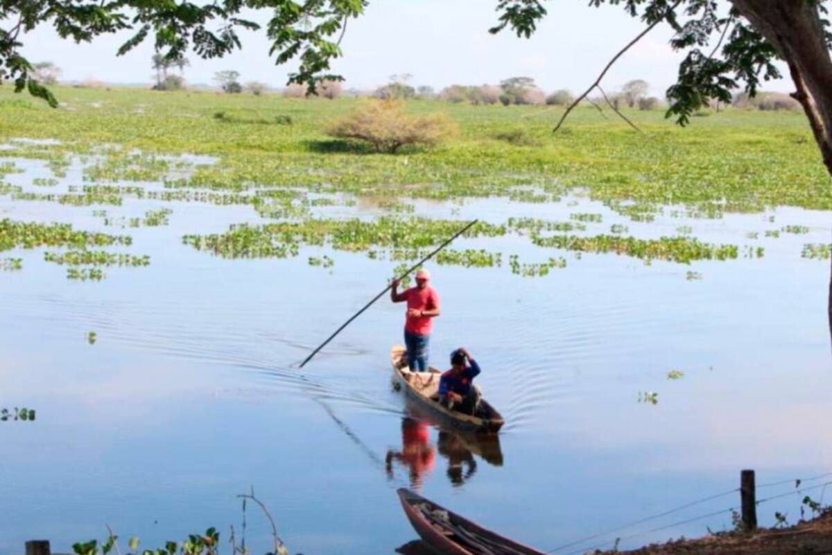 Las medidas que tomará Gestión del Riesgo ante inundaciones en La Mojana