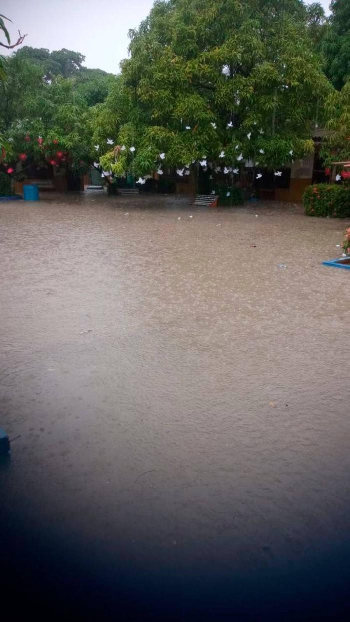 Colegio Soledad Acosta de Samper inundado tras la lluvia. //Cortesía.