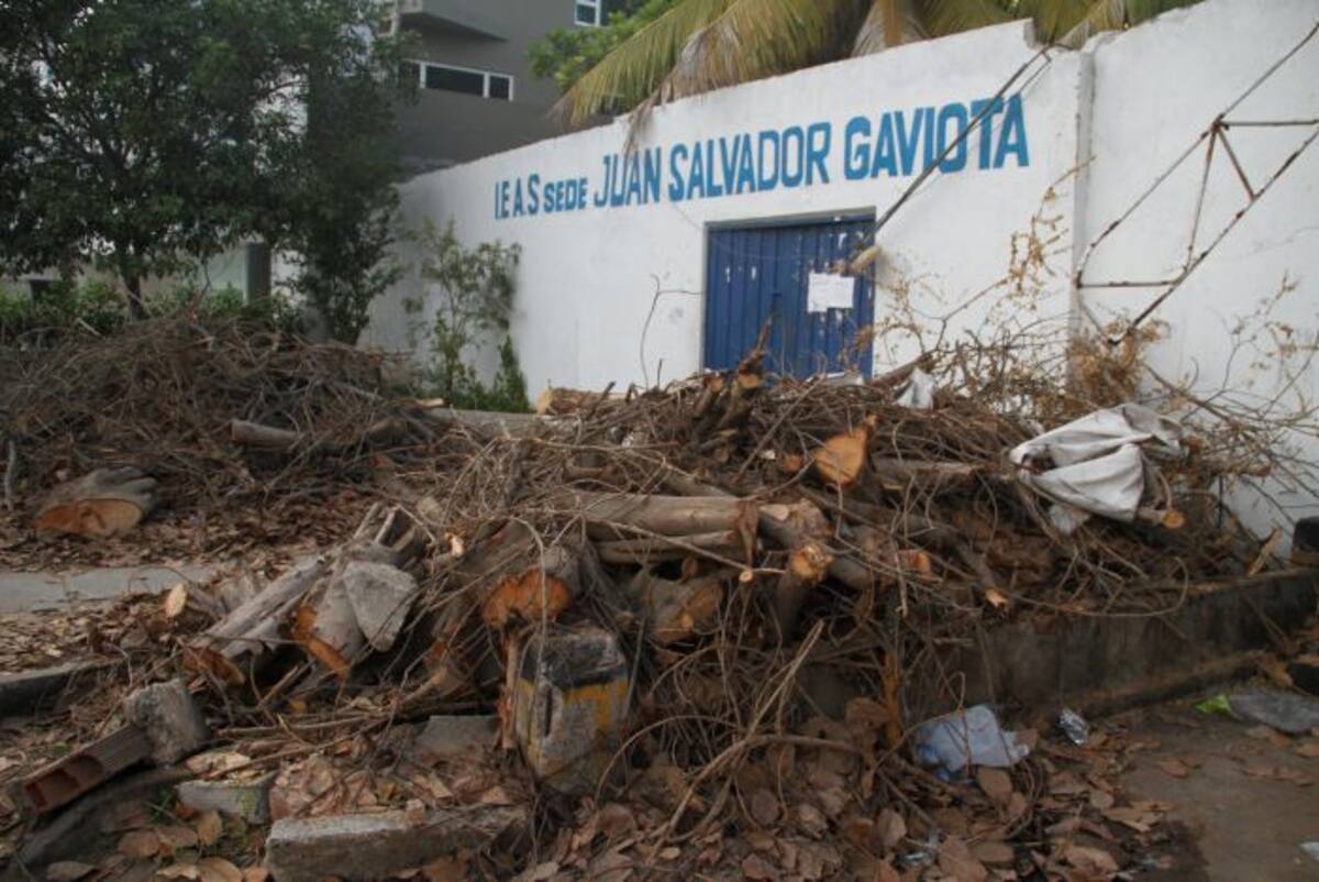 Las ramas secas del árbol de caucho llevan 15 días truncando el paso de los estudiantes. foto oscar diaz-el univeral