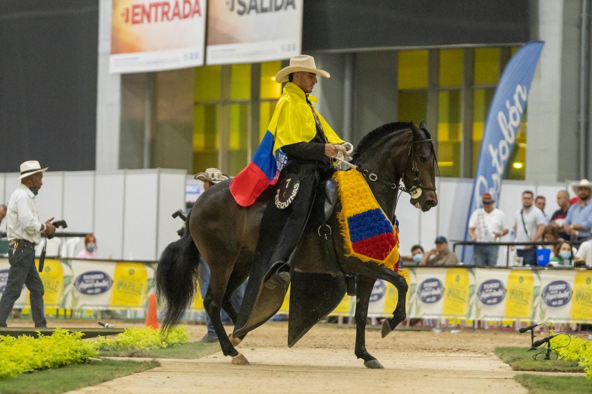 $6 billones, aporte del sector equino a la economía