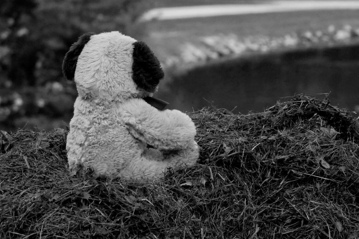 ¡Increíble! Padres llevan a su hija al colegio y la abandonan