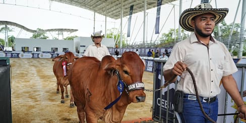 Agro Bolívar 2024: La feria que impulsa a los campesinos hacia nuevos mercados