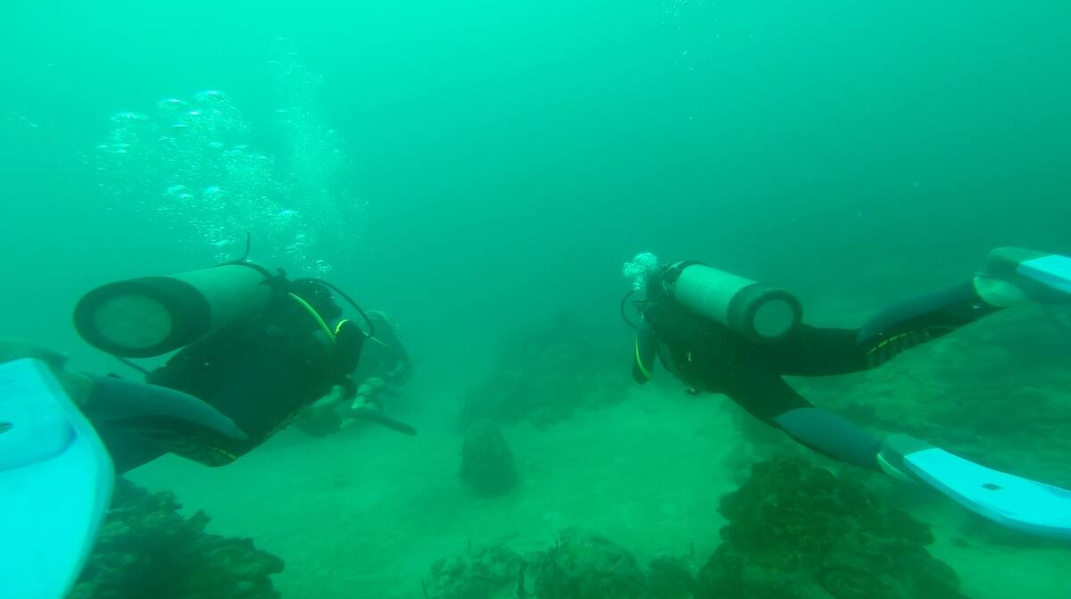 En el sector conocido como “Ciénaga de los Vásquez”, está sumergida la primera obra del Museo del Mar denominada 'Jardín de Medusas'. EL UNIVERSAL