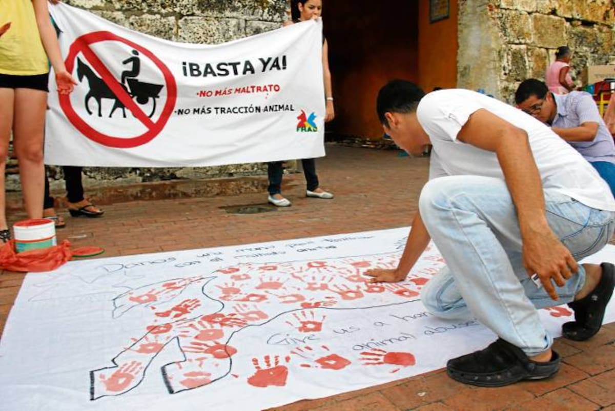 El 15 de agosto la fundación invitó a los cartageneros a que pusieran su huella contra la tracción animal. El evento se hizo en la Plaza de la Paz. KAILINE GIRALDO