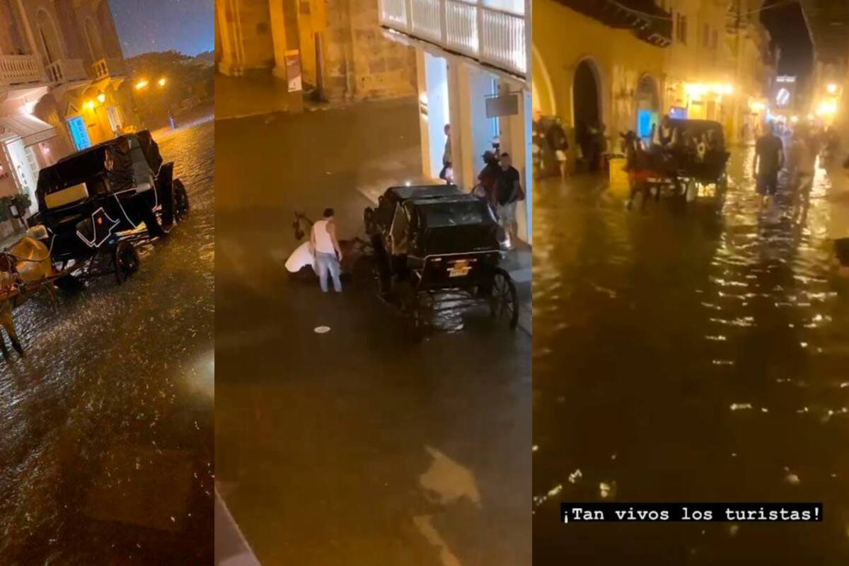 ¡Indignante! Caballos cocheros padecen bajo la lluvia en Cartagena