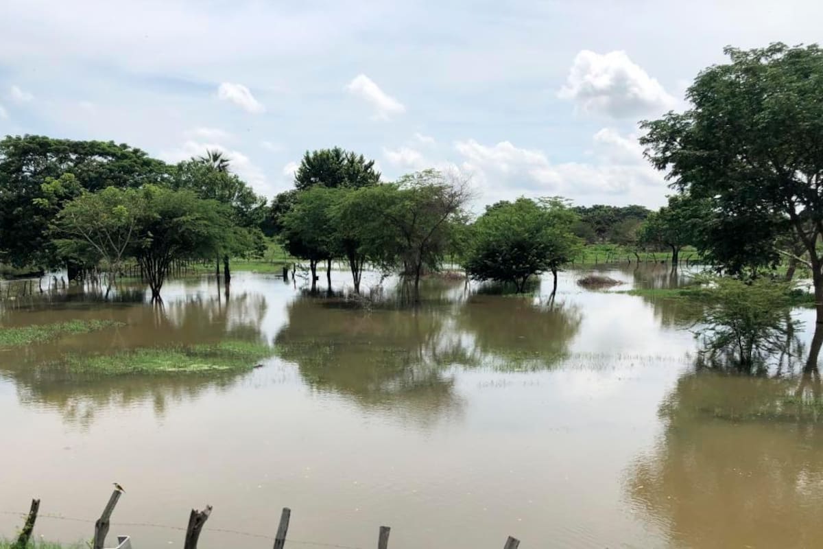 Agricultores afectados por la ola invernal tendrán auxilios y beneficios