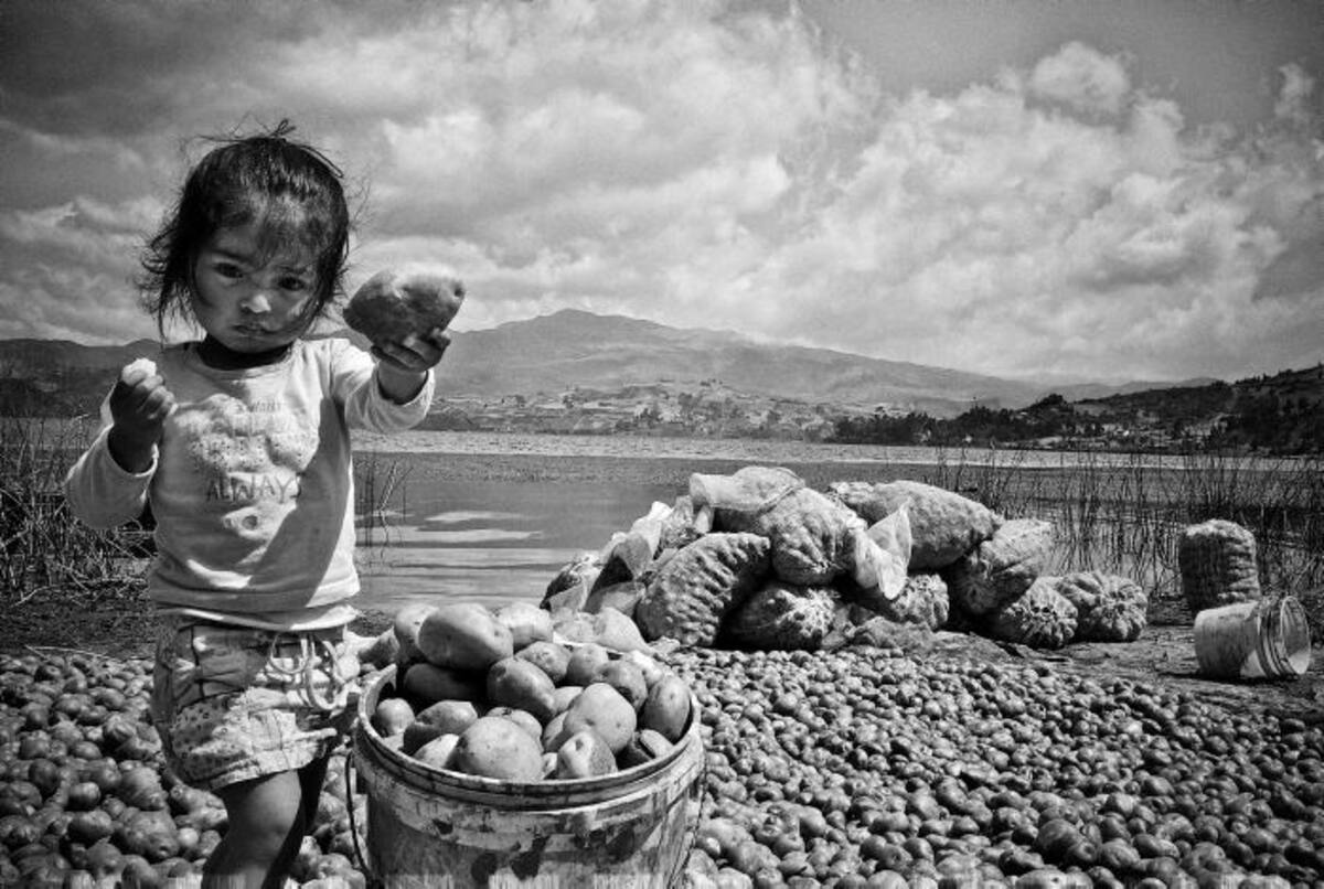 ‘Úste papa’ (2010), tomada en la Laguna de Tota, Aquitania - Boyacá. FOTO: FABIÁN ÁLVAREZ ROCHA