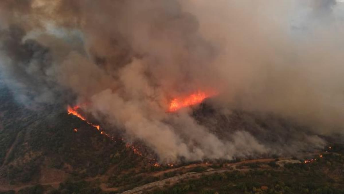 El fuego ha sido propiciado por varias y prolongadas canículas, en parte con temperaturas récord, así como una gran sequía y fuertes vientos. // EFE