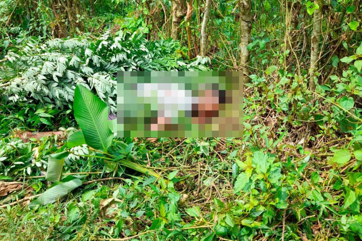 Escondido entre una pila de hojas, lo encuentran muerto en Marialabaja