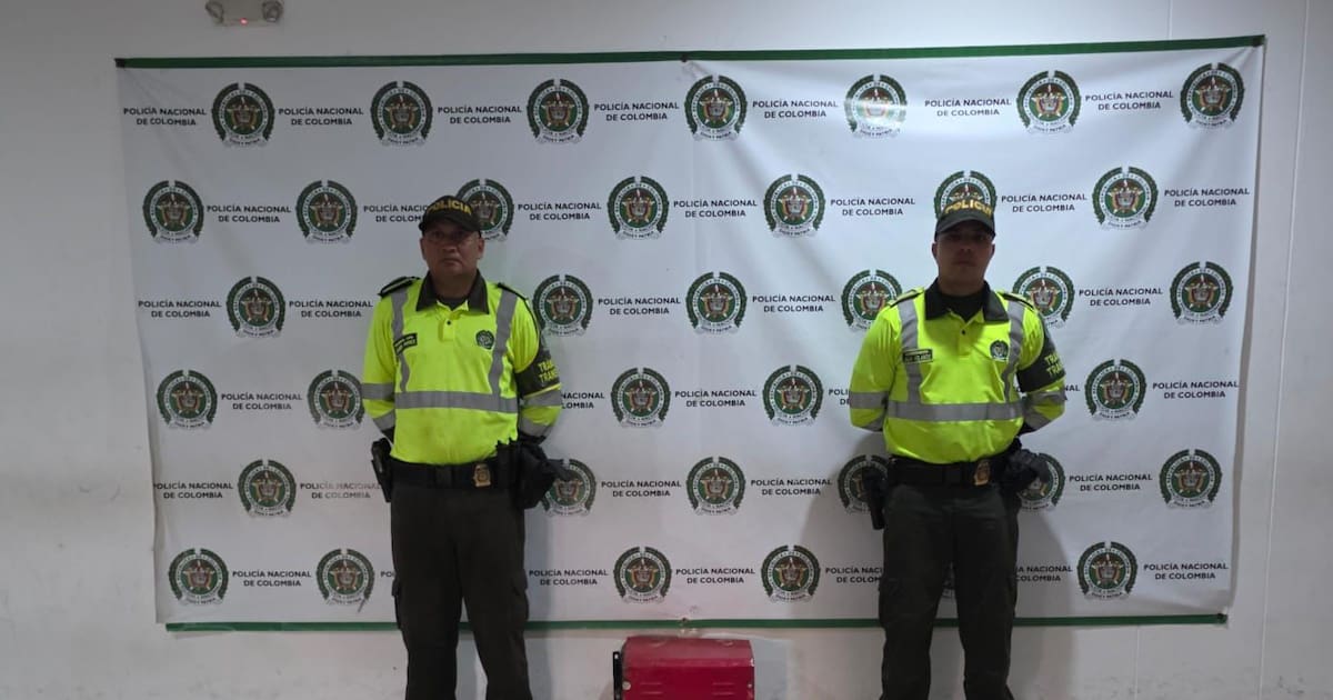 Incautan 12 kilos de estupefacientes ocultos dentro de tractocamión: detalles del operativo