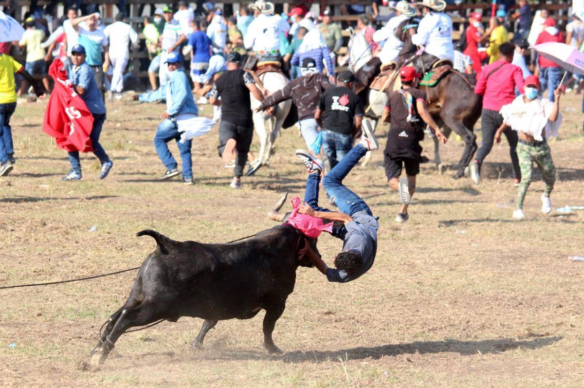 El aficionado enfrentó al toro y el animal lo alcanzó a elevarlo por los aires. // Manuel Santiago Pérez.