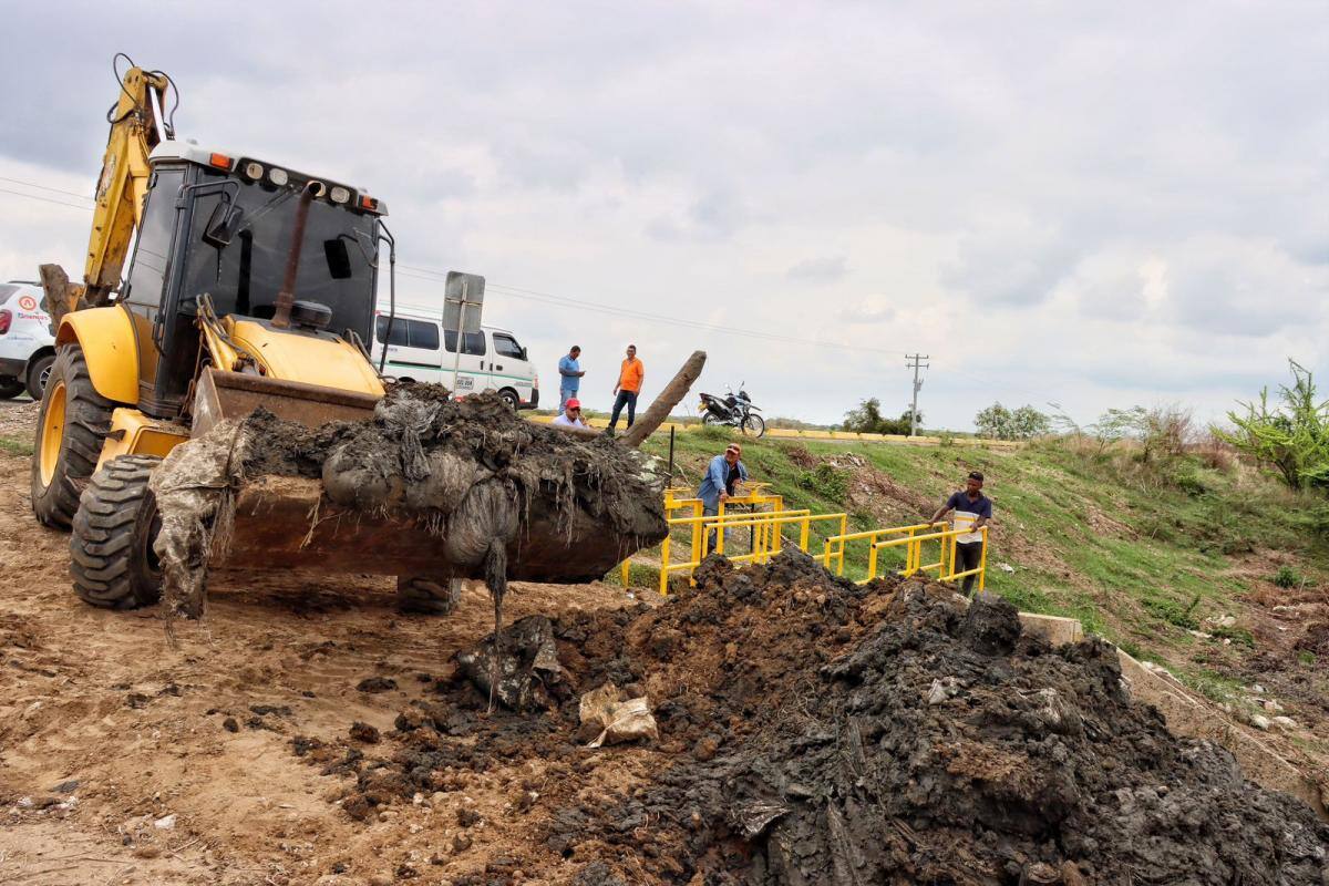Realizan limpieza de canales de drenaje que se encuentran colmatados