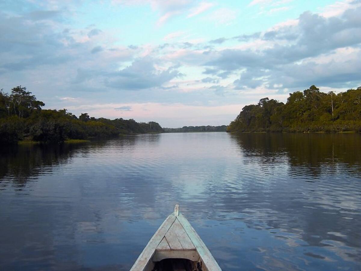 En contraste, en la misma escala de 0 a 100, los departamentos que presentan un estado normal de dimensión ambiental, fueron Amazonas, Guainía y Vaupés, con un puntaje de 67 puntos, lo que indica que en esa zona se protegen los ecosistemas selváticos. COLPRENSA