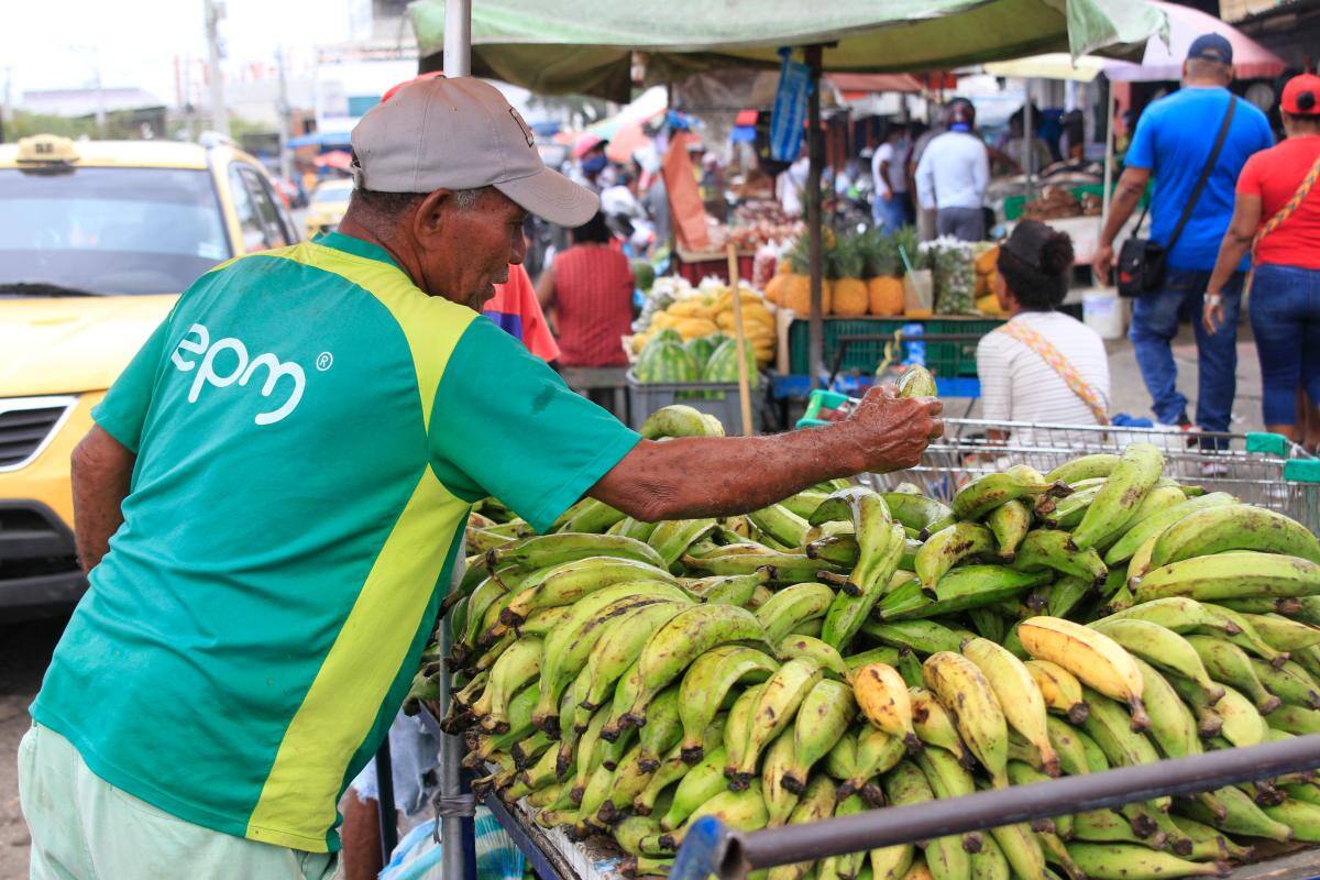 Los plátanos también incrementaron de precio.