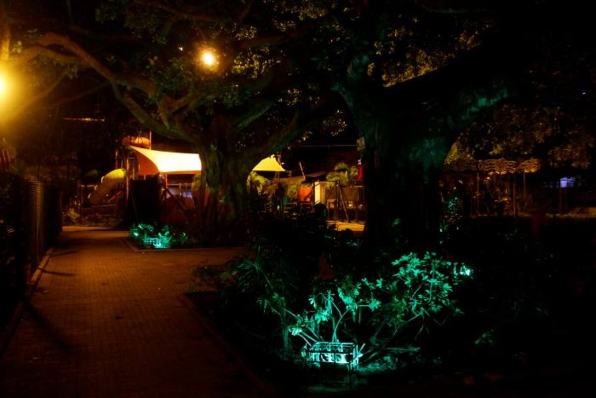 La nueva iluminación del Parque Flánagan es muy funcional, pues su multicolorido tiene además propósitos decorativos. NAYIB GAVIRIA - EL UNIVERSAL