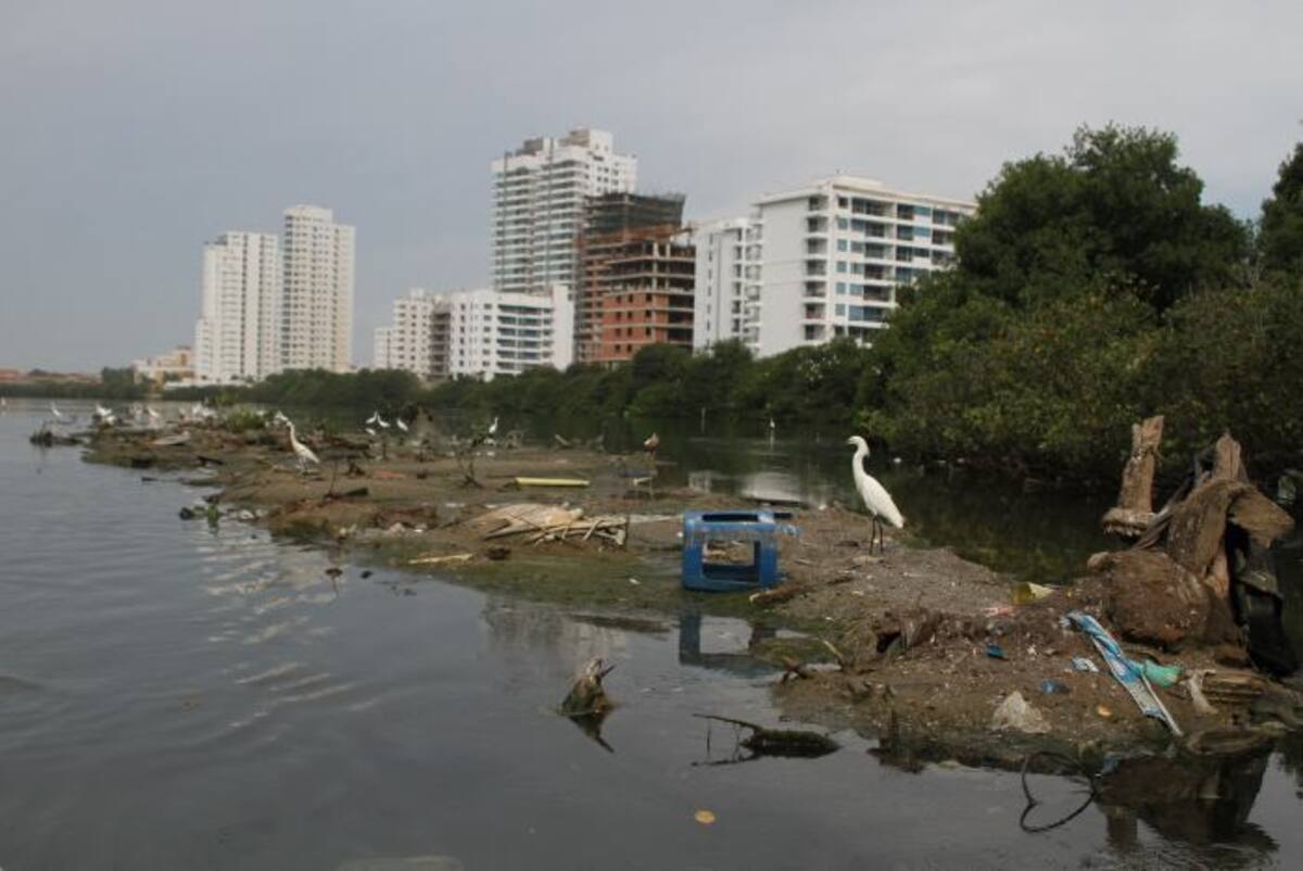 En la jornada también participaron integrantes de la guardia ambiental, Pacaribe, Defensa Civil, Cruz Roja, Policía Nacional, estudiantes del Colegio Mayor de Bolívar, Universidad de Cartagena, Centro de Acopio y miembros de la comunidad del sector San Pedro y Libertad de Torices. ARCHIVO EL UNIVERSAL.