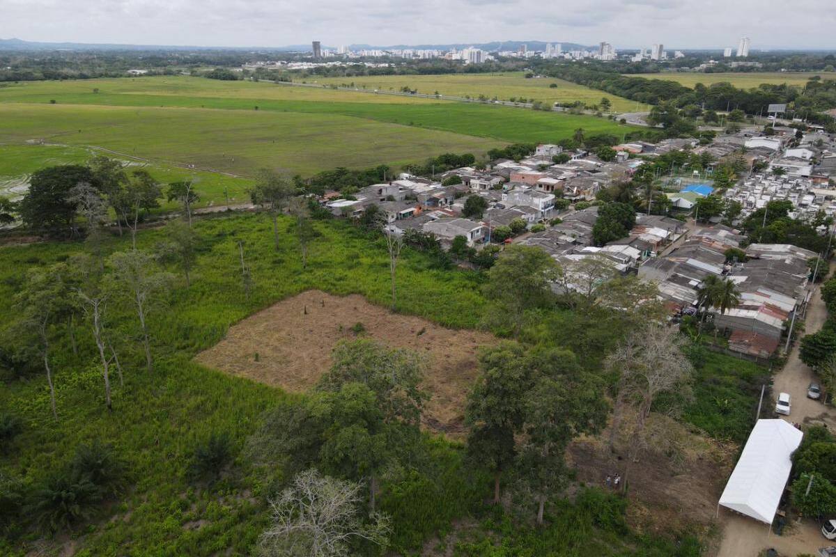 Montería tendrá el tercer jardín botánico del Caribe: Minambiente