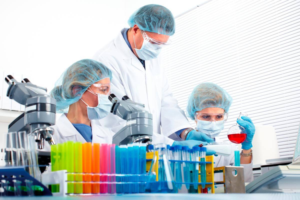 Esperanza: trasplantan con éxito en ratas hígados creados en laboratorio