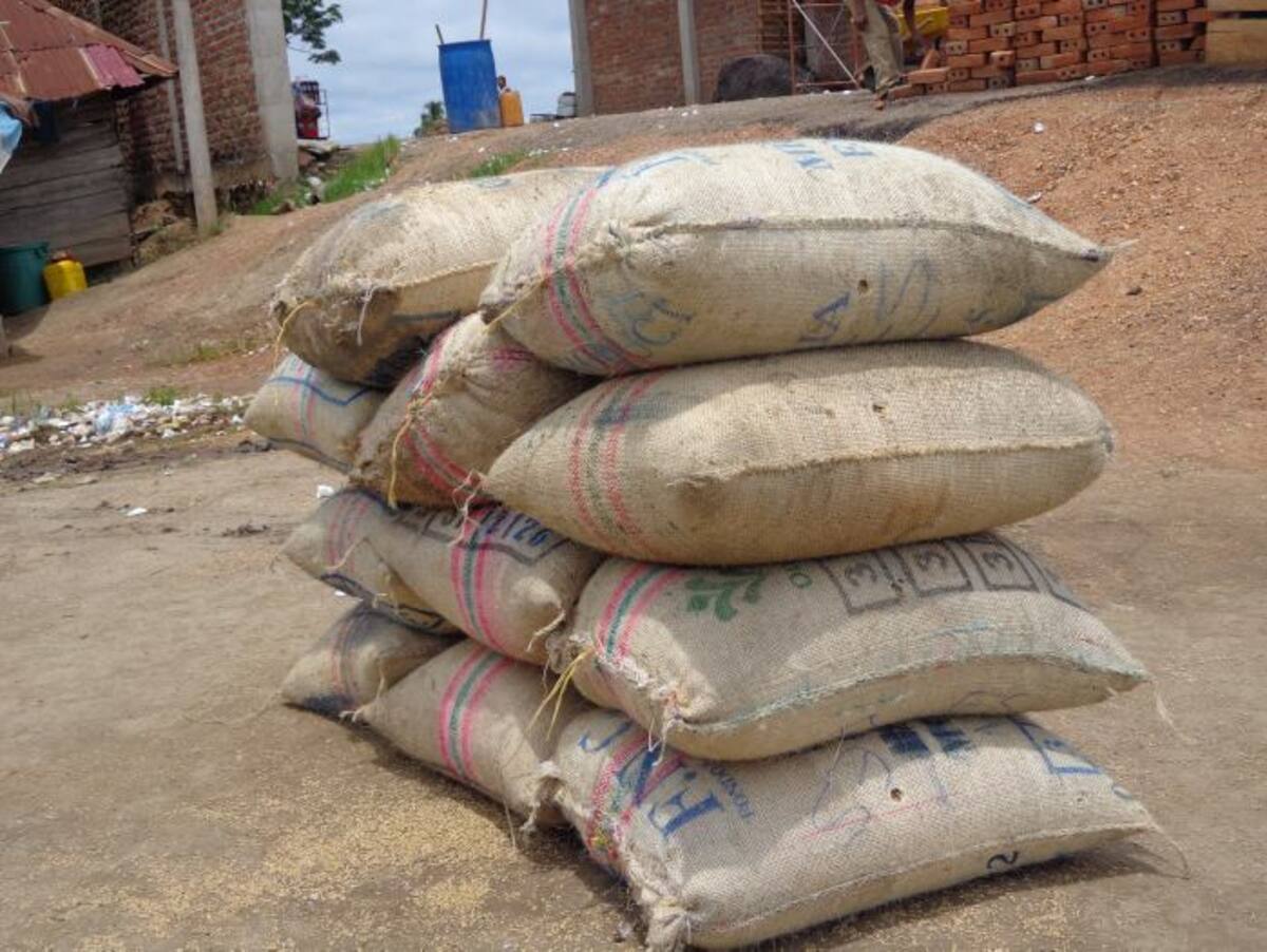 En el Puerto se reúnen compradores y vendedores del arroz. Cortesía Ubaldo Manuel Díaz