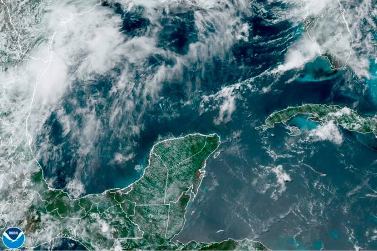 La tormenta Elsa llega a la costa de Florida
