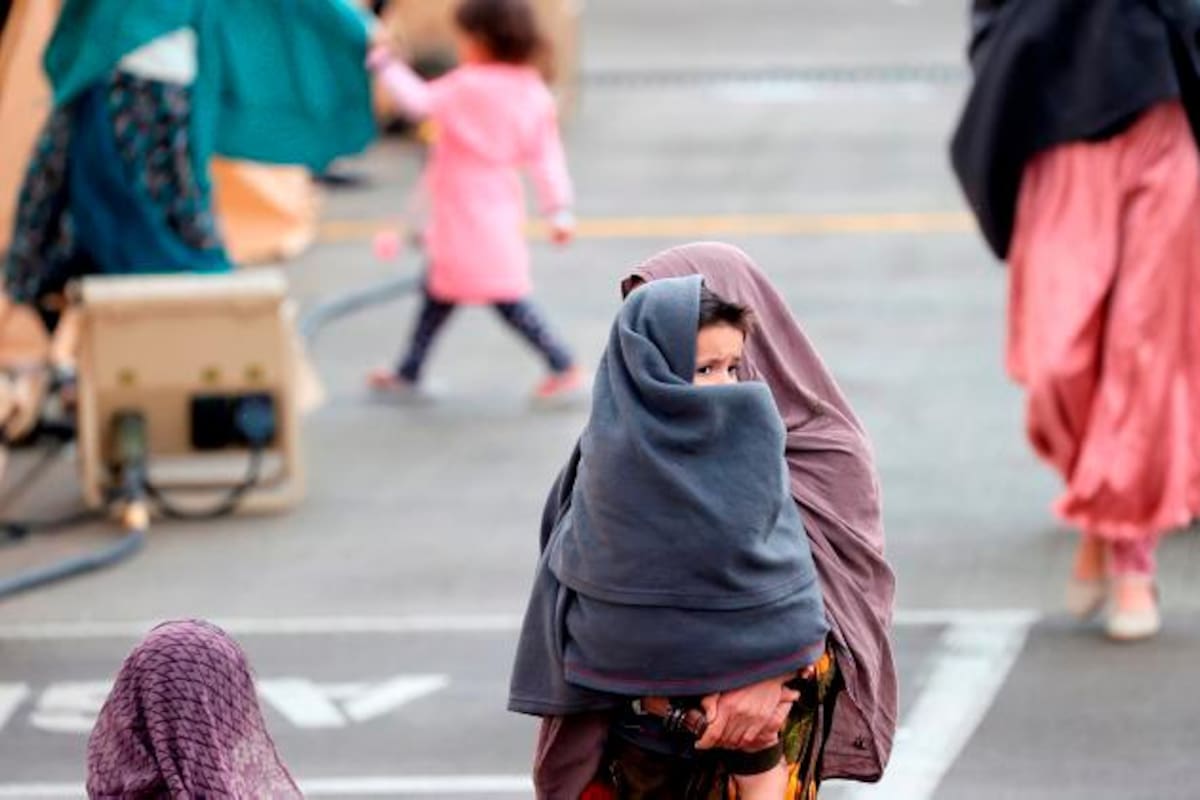Niño afgano de 5 años evacuado a Polonia muere por comer setas venenosas