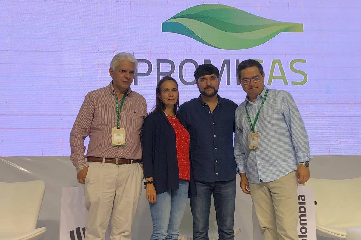 Barranquilla tendrá 300 escenarios públicos con paneles solares