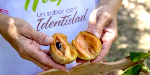 Polonuevo celebra su cumpleaños con el Festival del Níspero y sus Derivados