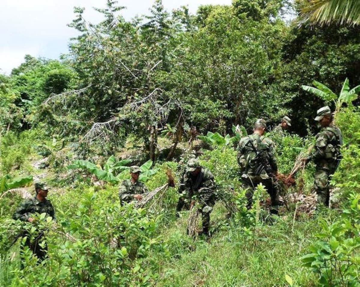 Los departamentos más afectados son Antioquia, Cauca, Caquetá, Meta Tolima y Valle, dicen los reportes. Archivo.