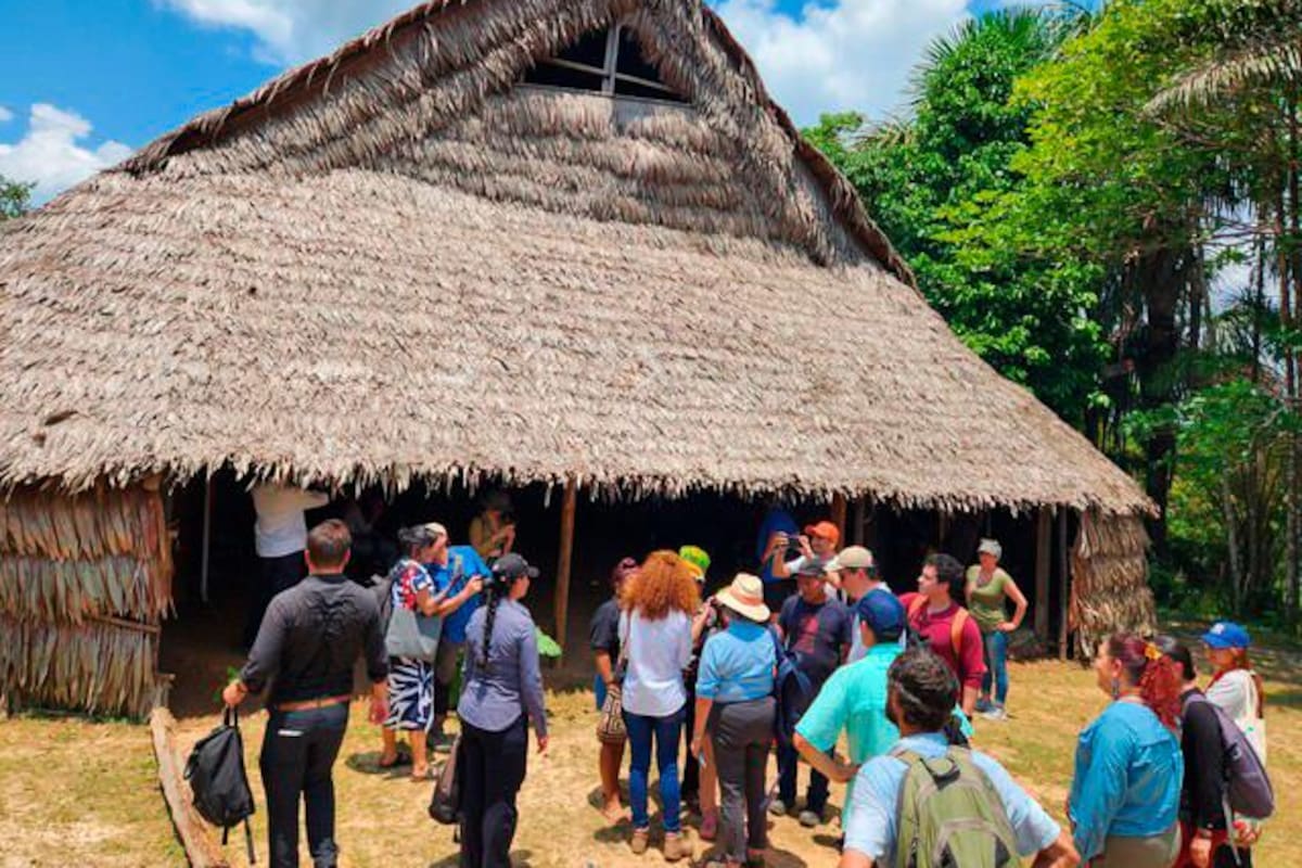 Hallazgo de nuevas especies: expedición con indígenas en amazonas