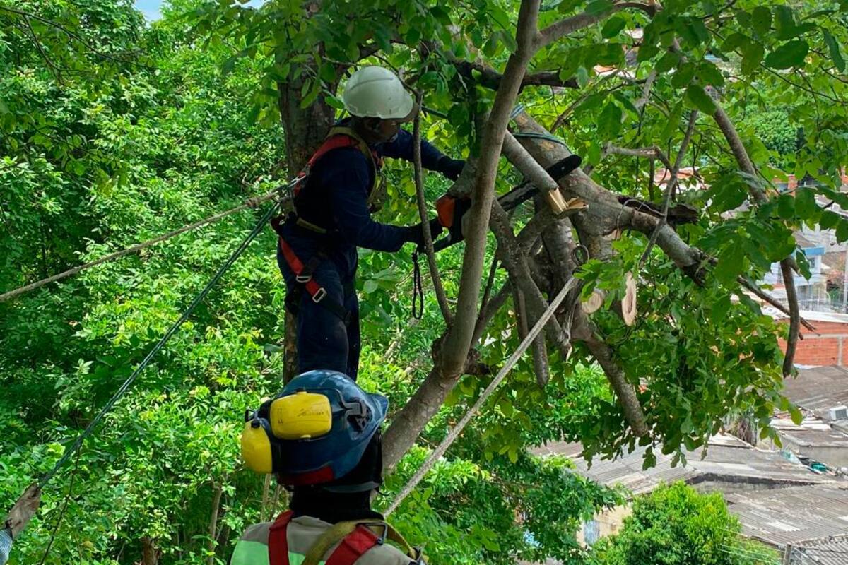 147 emergencias se atendieron en Cartagena durante junio
