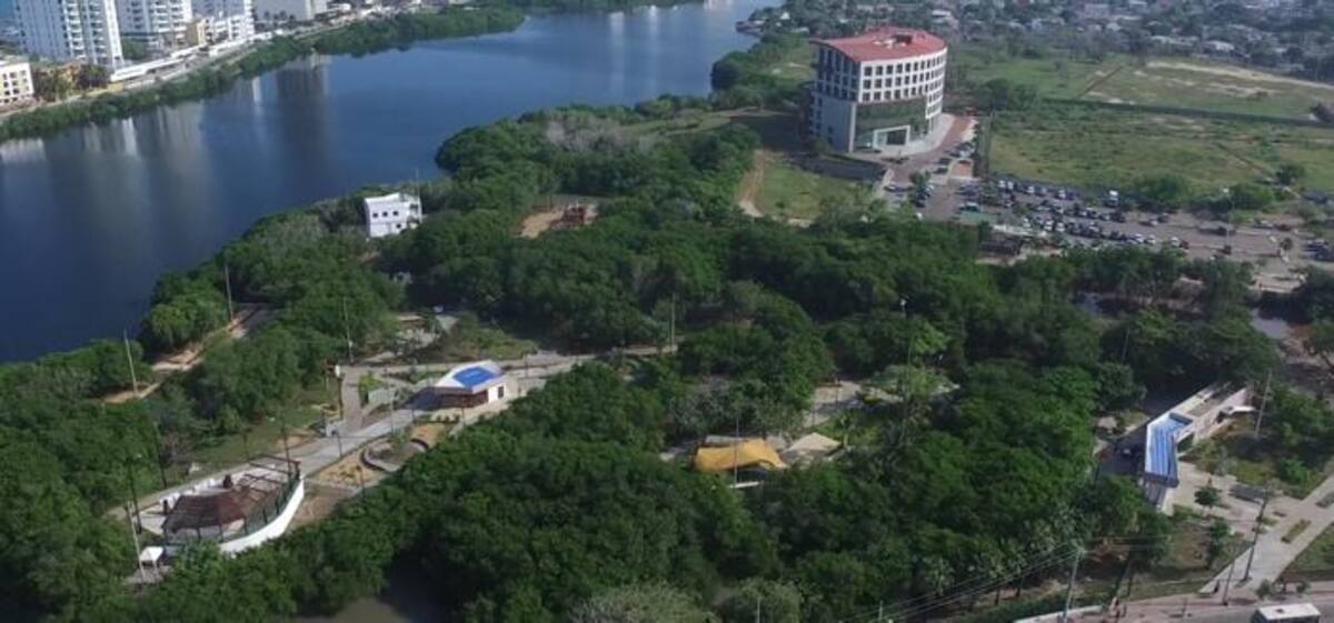 El arquitecto y escultor Óscar Luis Noriega, creador de las estatuas que adornan el parque Espíritu del Manglar, contó cómo fue su experiencia al ser parte de este proyecto. Jairo A. Cárdenas A.
