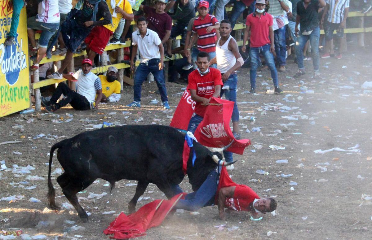 Afortunadamente, el animal solo alcanzó a tomar por la ropa a Luchito. // Manuel Santiago Pérez.