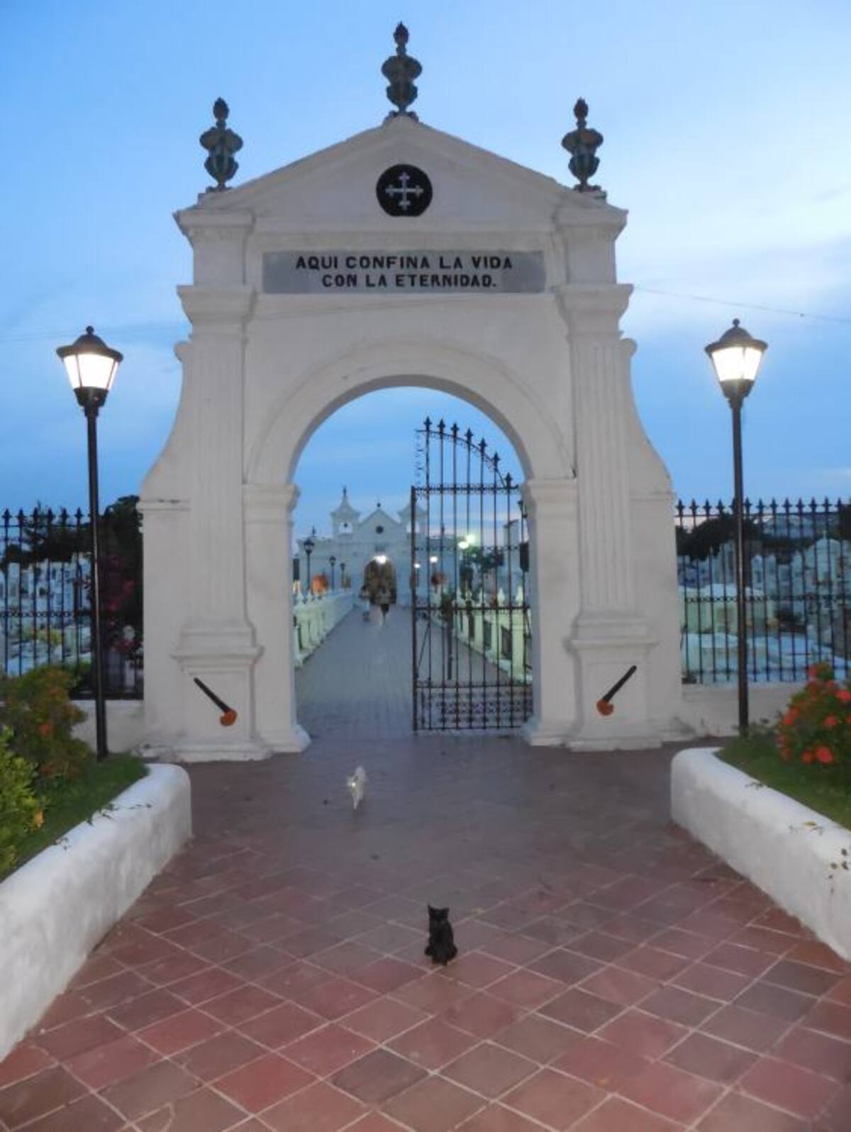 Entrada al Cementerio de Mompox. Los gatos dan la bienvenida. Gustavo Tatis- El Universal