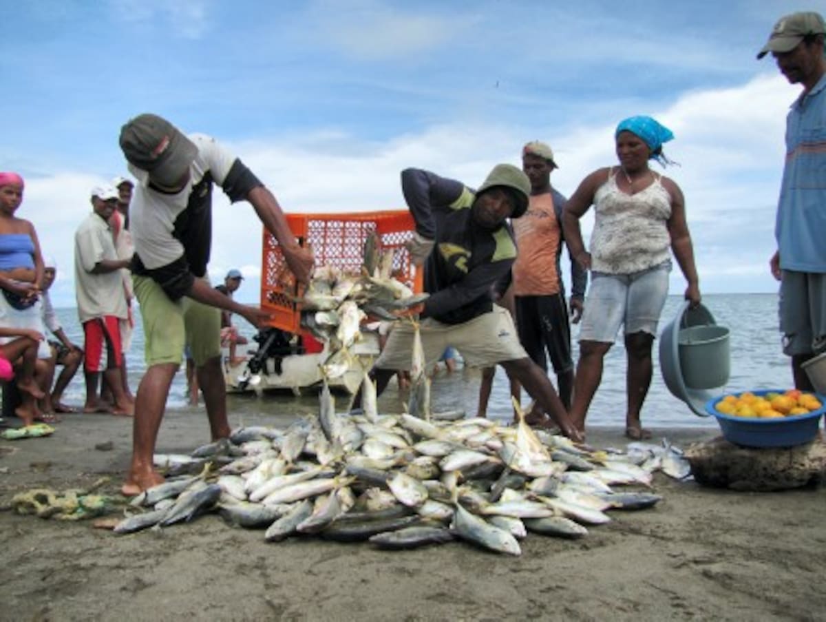 Habitantes de Loma de Arena, corregimiento de Santa Catalina, agradecieron a Dios por la abundante pesca de ayer.