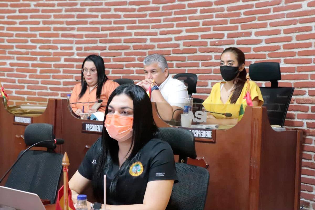 Johana Bueno, directora del DADIS en el Concejo de Cartagena. // Cortesía